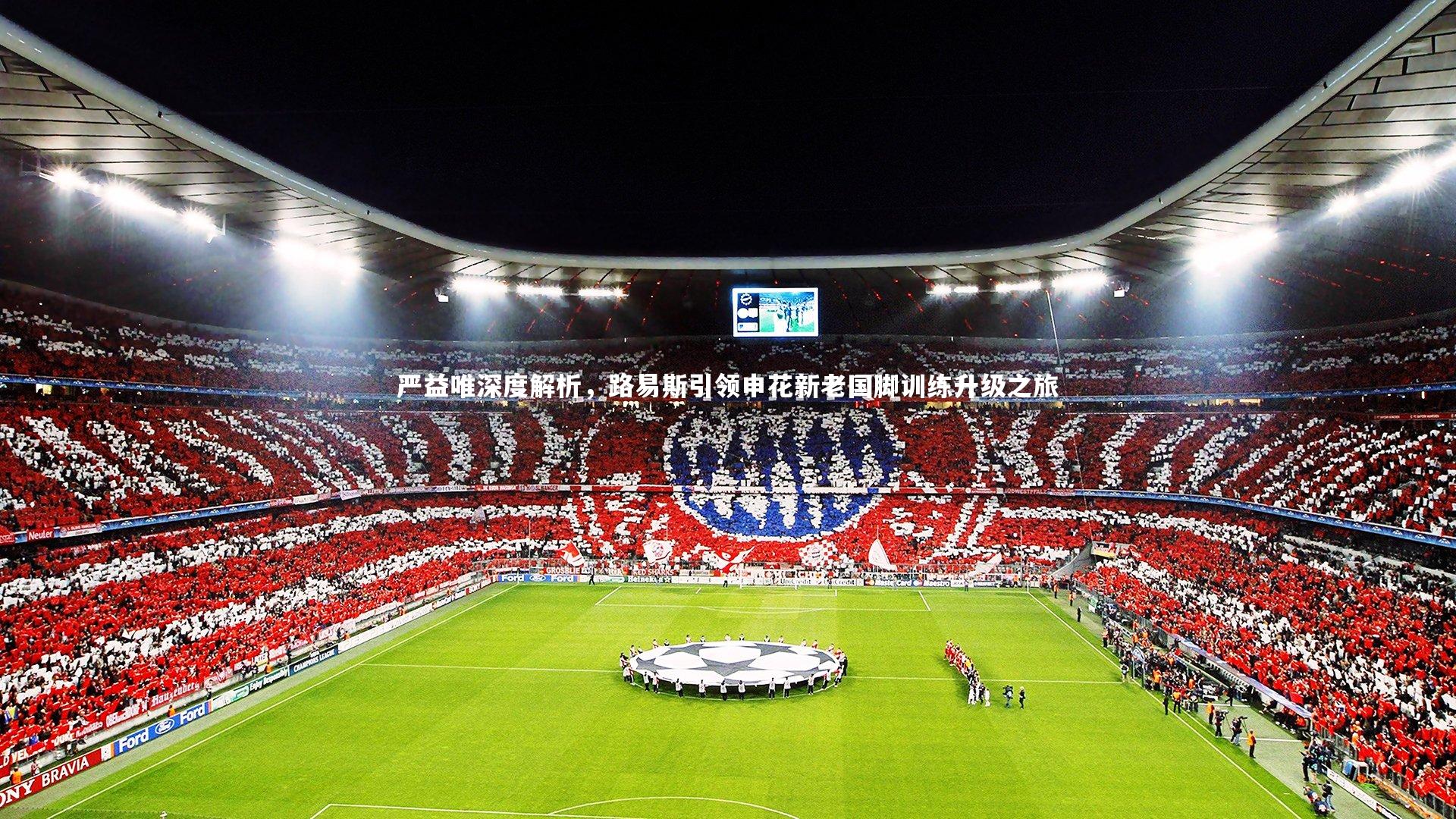 严益唯深度解析,路易斯引领申花新老国脚训练升级之旅