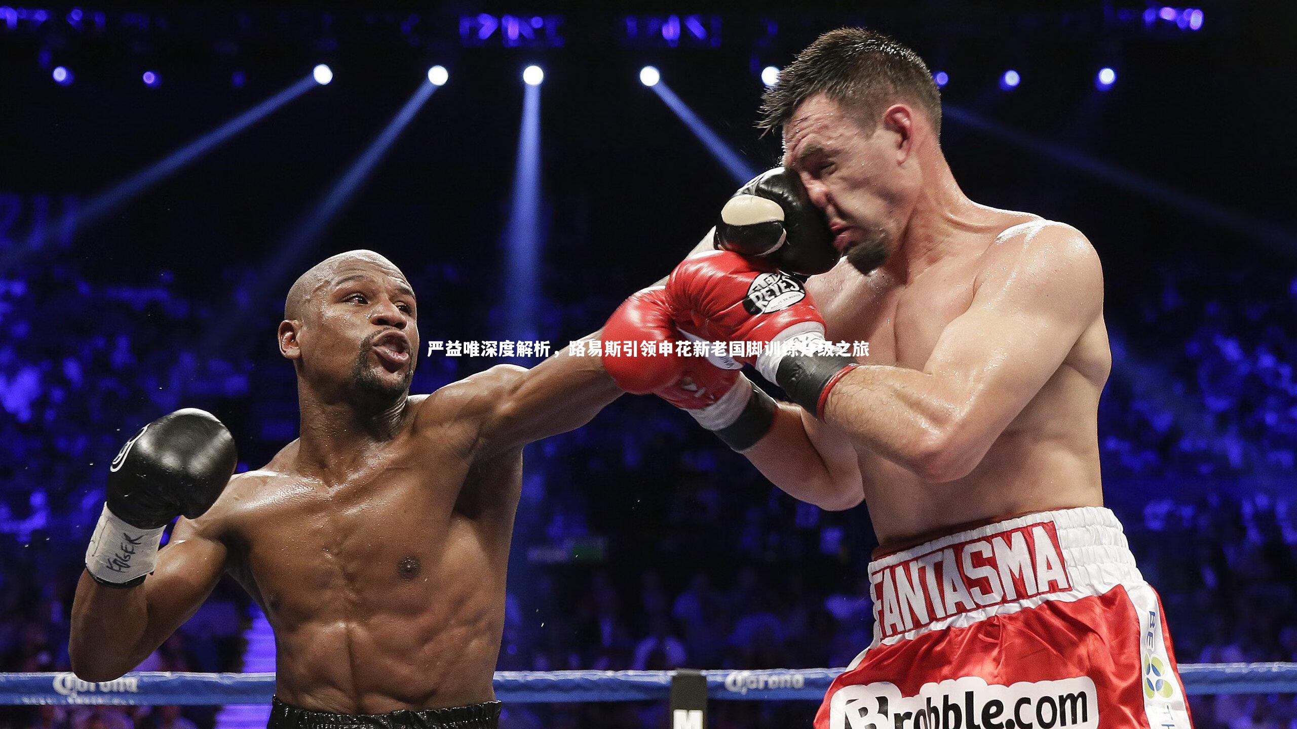 严益唯深度解析,路易斯引领申花新老国脚训练升级之旅